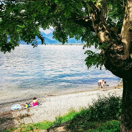 The By Design Bellano