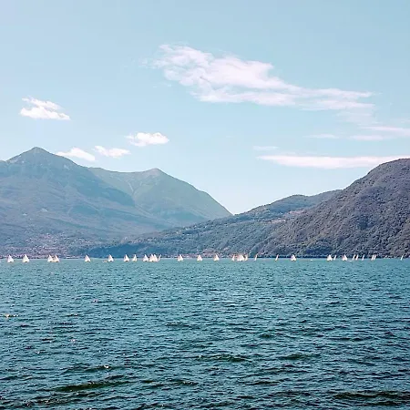 The By Design * Bellano