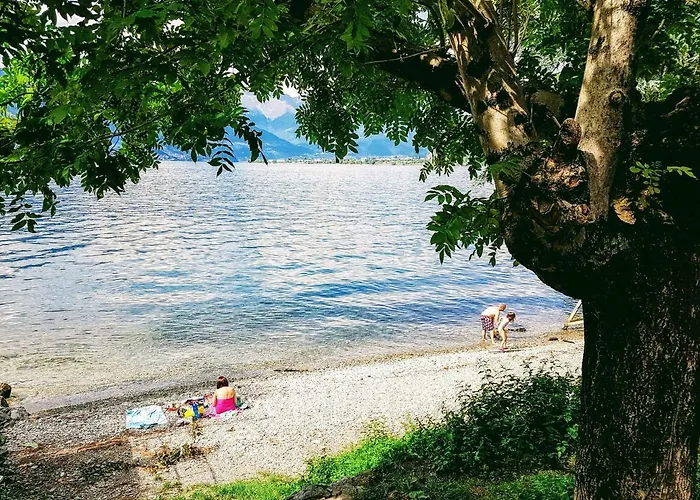 The By Design בלאנו